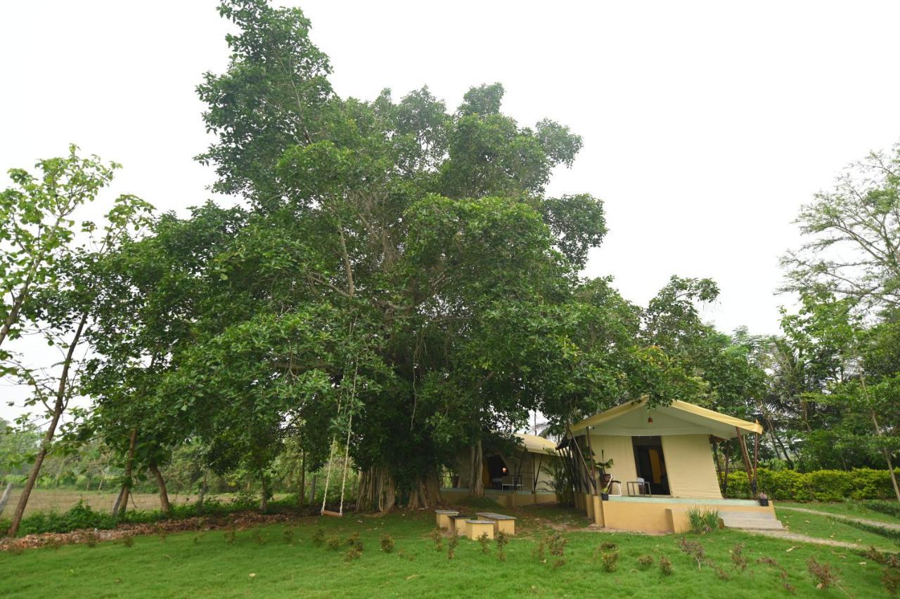 Fireflies Kabini Begūr Buitenkant foto